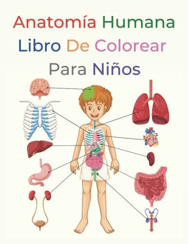 Libro : Anatomia Humana Libro De Colorear Para Niños...