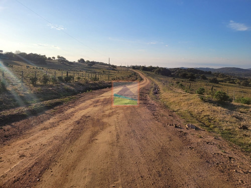 Imagen 4 de 20 de Chacra 14 Hás Con Casa Y Galpón Maldonado