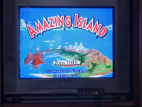 Amazing Island Game Cube Videojuego Completo Original (Usado)