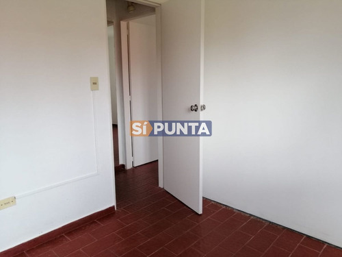 Imagen 9 de 17 de Departamento En Maldonado, Excelente Ubicación Para Vivir Todo El Año