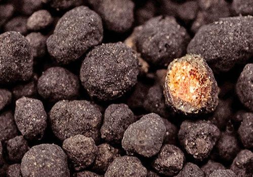 8lt Sustrato Nutritivo Neo Soil No Requiere Co2 Plants