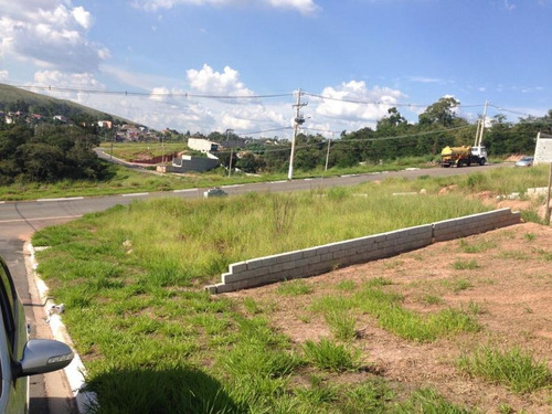 Imagem 3 de 19 de Comercial Para Venda, 0 Dormitórios, Laranjeiras - São Paulo - 605