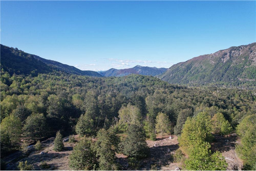Parcelas Bosques De Palguin - Pucón