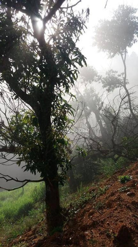 Imagem 17 de 22 de Área À Venda, 44724 M² Por R$ 3.800.000 - Parque Varanguera - São Roque/sp - Ar0047