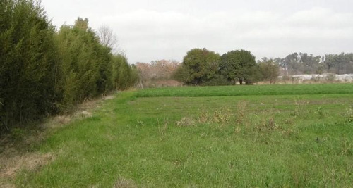 Imagen 10 de 13 de Terreno - Villa Astolfi