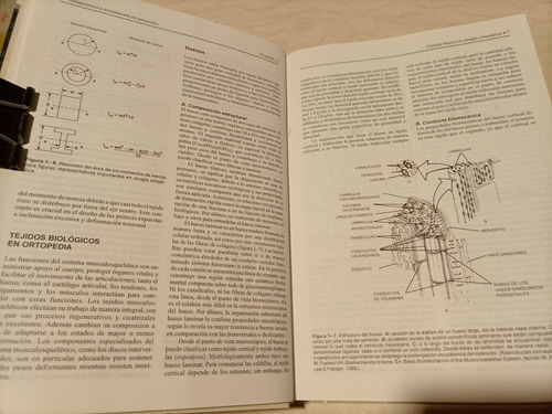 Libro. Diagnóstico Y Tratamiento En Ortopedia (Usado)