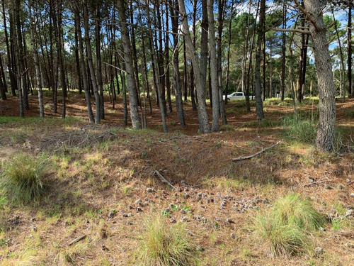 Terreno En Villarobles - Barrio Brisas 984m2 Fondo Sobre Laguna Cerca Del Mar Con Planos