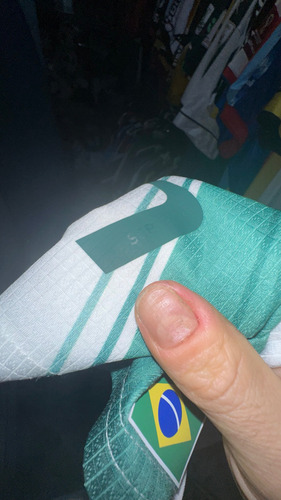 Camisa De Jogo Do Palmeiras Com Marca Dágua Sep (Usado)