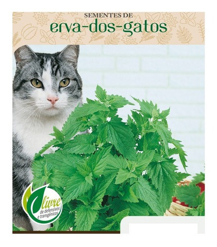 Kit Sementes De Grama E Erva Dos Gatos Catnip Promoçao