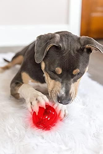 Pet Qwerks Blinky Bobble Ball Juguete De Perro De Medium
