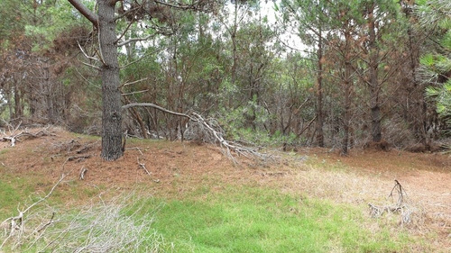 Imagen 5 de 7 de Lote La Esmeralda Rocha Uruguay. Oportunidad Unico A 2 1/2 Calles Del Mar.