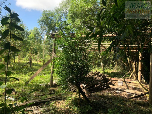 Imagem 11 de 15 de Chácara Para Venda Em Parobé - Cwvcr041_2-1122322