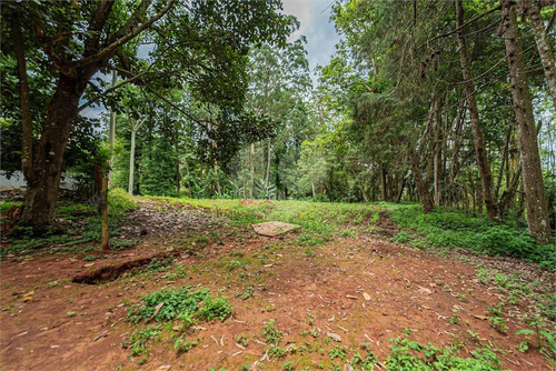 Imagem 7 de 30 de Sitio Rural - Praia Paulistanas - Reo639076