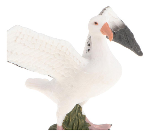 2 Plástico Gaviota Modelo Pájaro Fauna Silvestre Selva