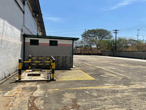 Imagen 4 de 14 de Johanna Castillo Alquila Galpon Castillito 1200 Mts