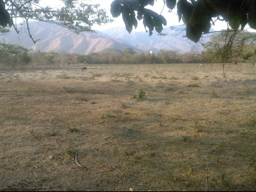 Imagen 2 de 4 de Venta De Parcela Para Proyecto Habitacional.acepta Criptomon