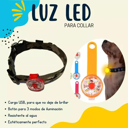 Collar Pendiente Antiperdida Luz Led Carga Usb Perros Gatos