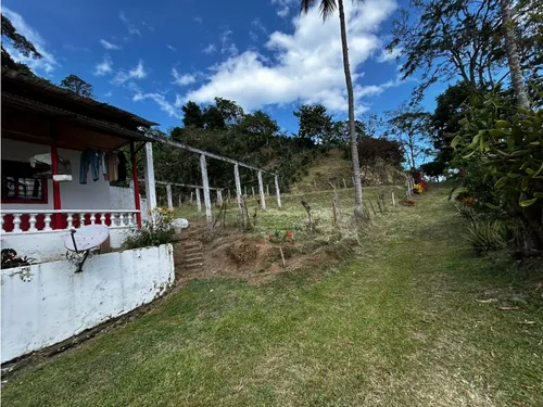 Se Vende Finca En Barragán