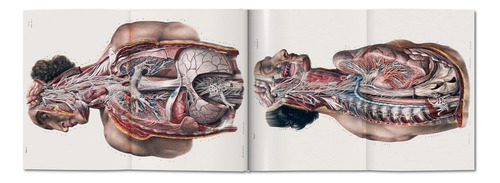 Atlas Of Human Anatomy And Surgery - Por J. M. Bourgery - Anatomia - Livro Importado Edição Grande - Inglês Francês - Editora Taschen - Capa Dura - 1a Edição