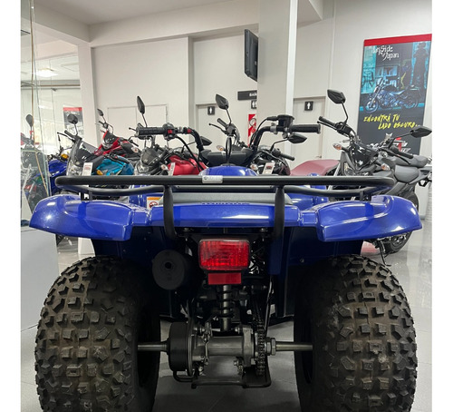 Yamaha Grizzly 125