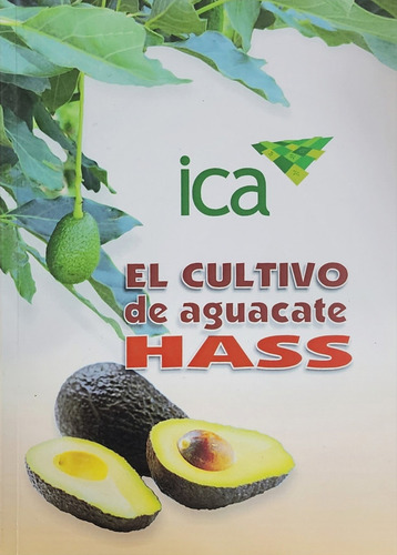 El Cultivo De Aguacate Hass