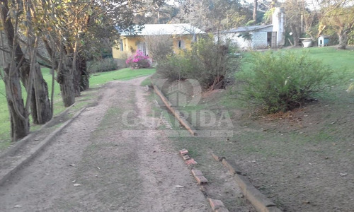 Imagem 2 de 15 de Sitio - Sitios - Ref: 98116 - V-98116