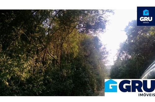 Imagem 24 de 29 de Terreno À Venda - Bonsucesso, Guarulhos/sp - Are447