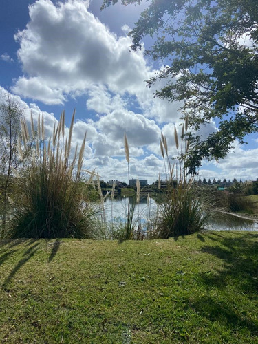 Terreno Lote  En Venta A La Laguna En San Matias, Escobar