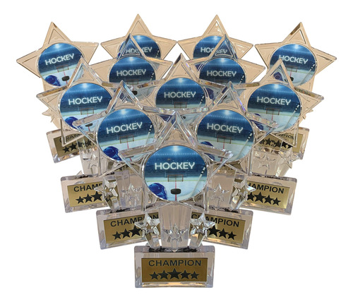 Trofeo Hockey Hielo Acrilico 6.5 In 12 Unidad