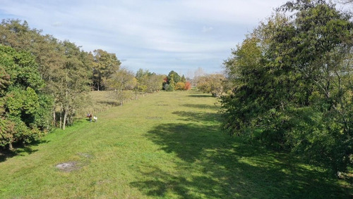 Imagen 5 de 24 de Venta/permuta- Hermosa Parcela De 8500 Mts