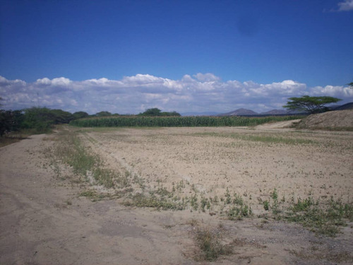Vendo Terreno En Quibor , Sector Cuara , Listo Para Siembra, 4 Hectáreas, Laguna, Fácil Acceso Cod. 25- 6570 Mz