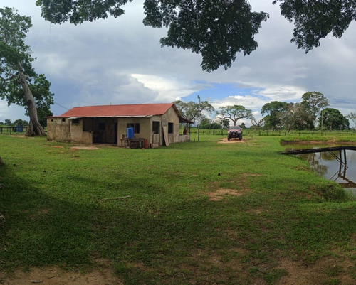 Imagen 2 de 9 de Se Vende Finca Via Al Sur A 10min Del C.c La Cascada Ve01-0939zs-mf
