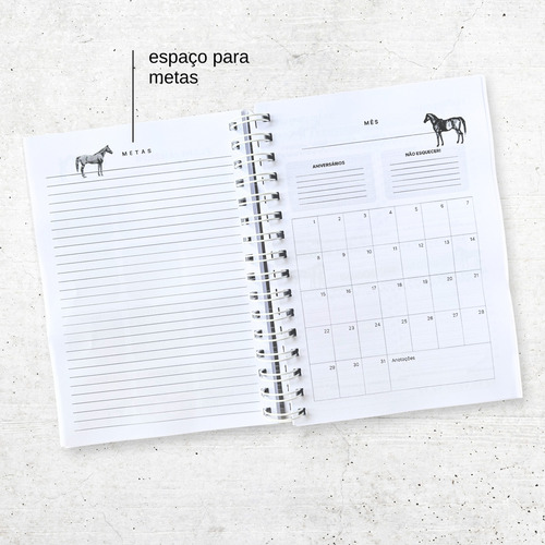 Planner Permanente Hipismo&co