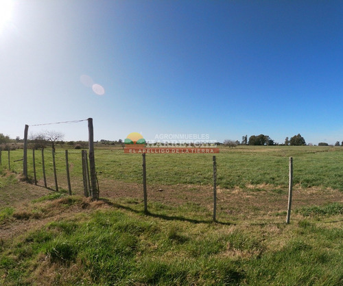 Campo En Venta 18 Has Canelones, Con Todas Las Instalaciones!