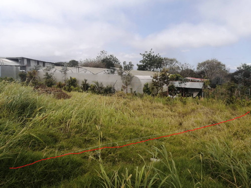 Imagen 10 de 11 de Se Vende Lote 314m2 En Sto Domingo X Ruta 32 - Residencial/comercial