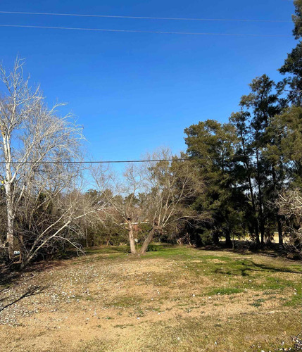 Imagen 5 de 15 de Lote Terreno Venta Mil Metros Excelente