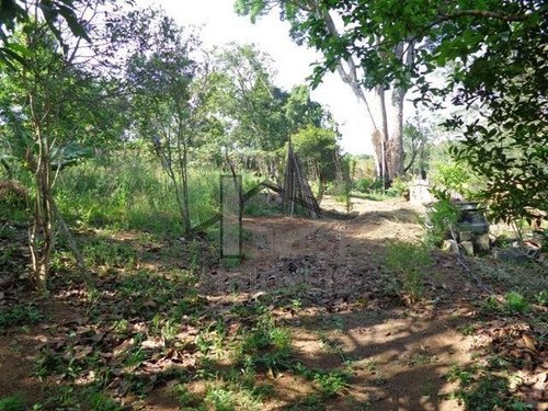 Imagem 2 de 3 de Cód 1095 -terreno De 1.000 M² Em Um Lugar Tranquilo - 1095