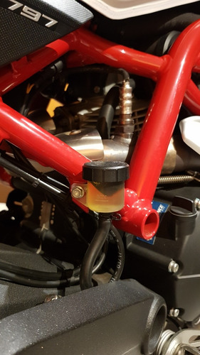 Ducati Monster 797cc Naked