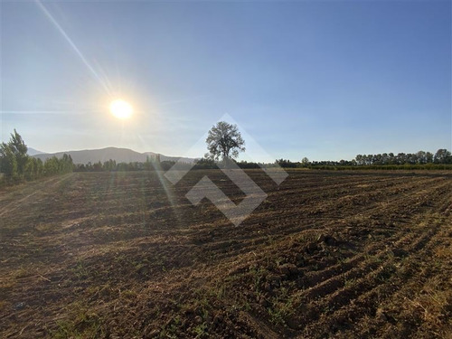 Imagen 16 de 27 de Parcela Agrícola En Venta En Paine