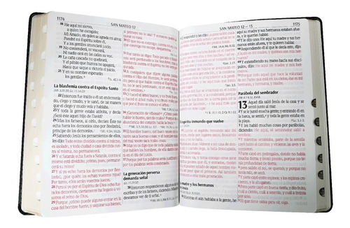 Biblia Rvr096clsgipjrti Negra Supergigante