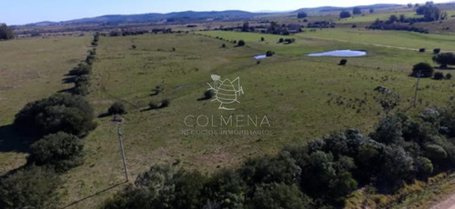 Campo En Zanja Chavez Con Costa De Arroyo, Caña Y Monte Natural.