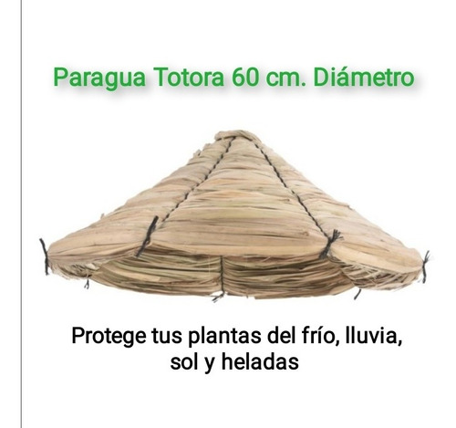 Imagen 1 de 3 de Gorros De Totora Para Plantas
