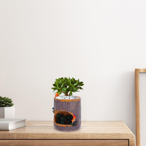 Maceta Con Forma De Sedum Con Forma De Flor Verde, Maceta Pa