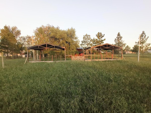 Imagen 1 de 10 de Terreno - Gualeguaychu