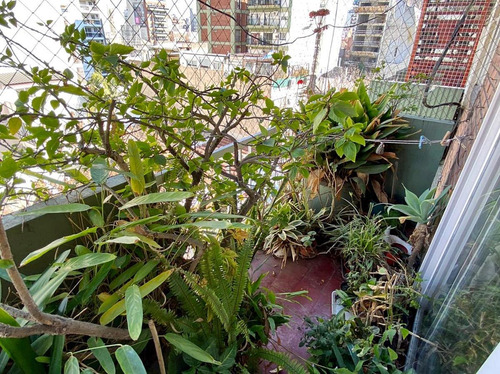 Imagen 6 de 26 de Venta Departamento 3 Ambientes En Núñez