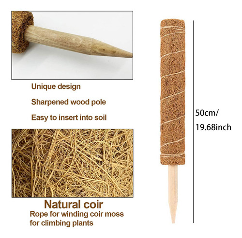 Soporte Para Plantas Con Forma De Bastón De Fibra De Coco, R