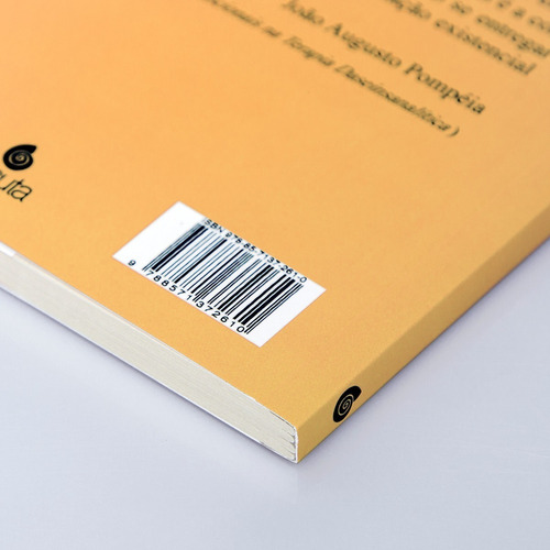 Livro Do Desabrigo À Confiança: Daseinsanalyse E Terapia