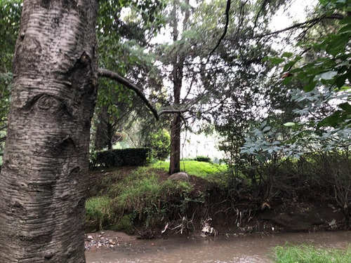 Imagen 10 de 22 de Se Vende Terreno En Bosque Real!!