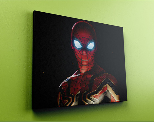 Cuadro Spiderman Marvel 599 40x30 Lienzo Memoestampados