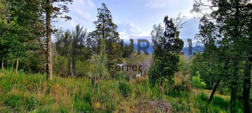 Imagen 5 de 12 de Lote En Venta Bariloche - Villa Lago Gutiérrez Id: 3150